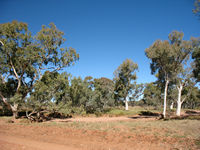 A dry creek bed on the Arltunga Tourist Trail